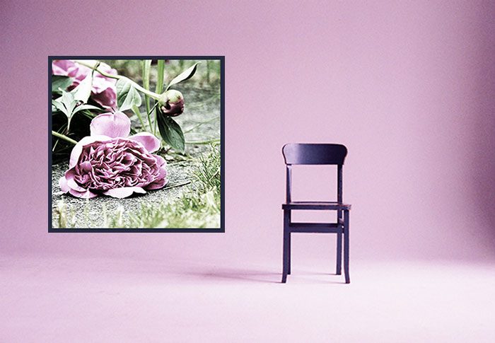 Raum mit Stuhl und Wandbild Pfingstrose pink rosa